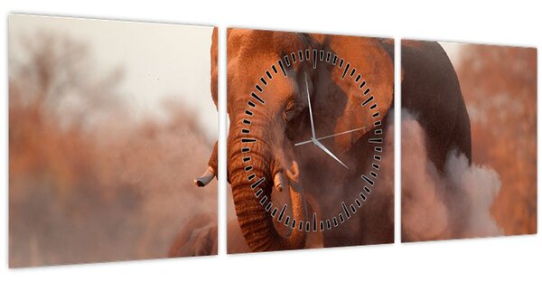 Obraz - Velký slon africký (s hodinami) (90x30 cm)