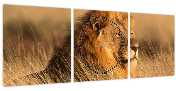 Obraz - Národní park Etosha (s hodinami) (90x30 cm)