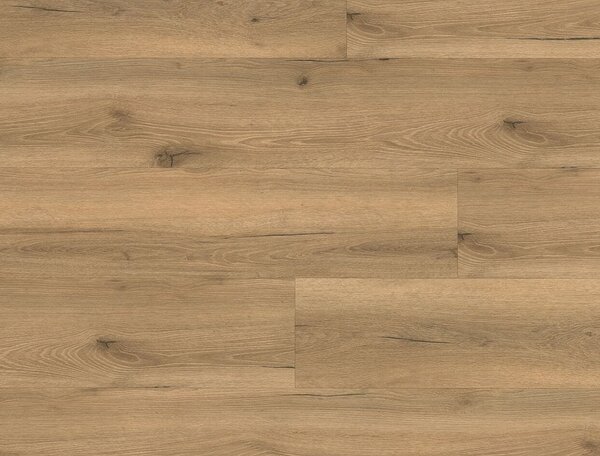 FLOOR FOREVER Grandissimo click rigid Alpine oak natural 99900 - 1.98 m2