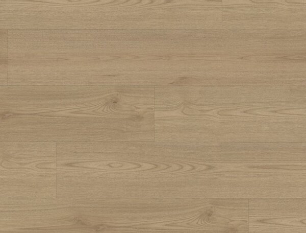 FLOOR FOREVER Grandissimo click rigid Scotch ash 99937 - 1.98 m2