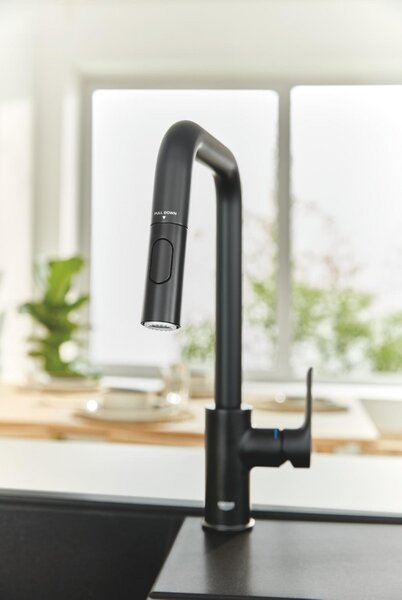 GROHE Eurosmart Professional - Páková dřezová baterie, černá matná 306192430