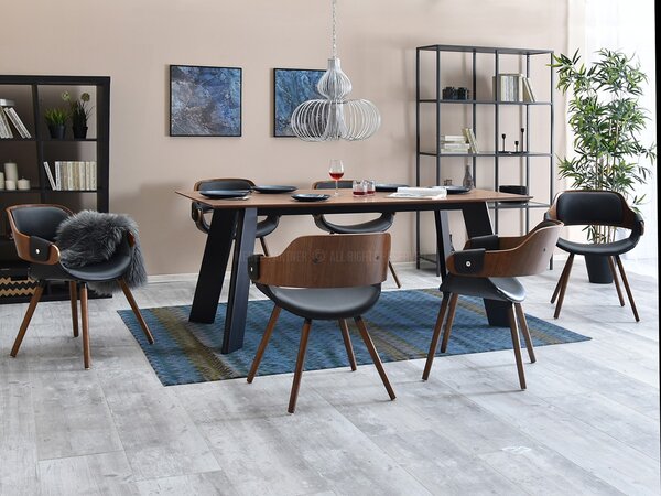 Židle Tina (ořech tmavý + ořech). Akce -10%