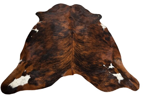 Koberec kusový hovězí kůže 3,5 m2, exotic tricolor 131