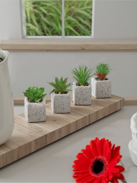 Sinsay - Dekorativní umělá rostlina 4 pack - bílá