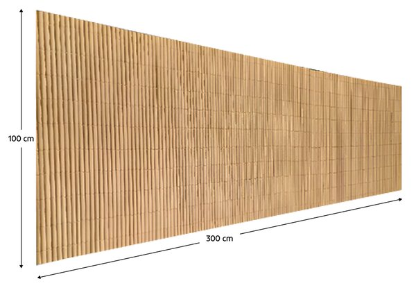 KONDELA Zahradní zástěna, přírodní, 300x100 cm, ABEO