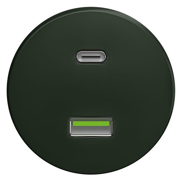 Kliklap - Retro USB zásuvka A+C bez rámečku zelená