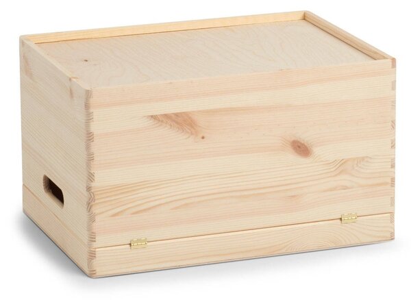 Kontejner pro skladování, organizér s víkem, 30 l, ZELLER