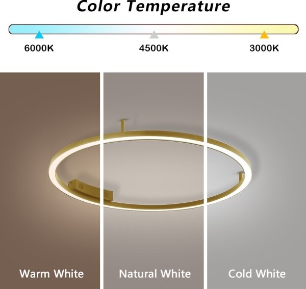 Immax NEO 07291-80G - LED+CCT Stm strop svítidlo FINO 55W/230V Tuya pr. 80 cm+DO