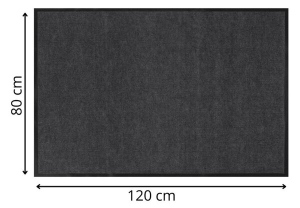 Rohožka před dveře 80x120 cm SPRINGOS HA7535 černá