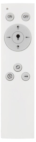 Globo 67283-40 - LED Stmívatelné stropní svítidlo JORRY LED/40W/230V + DO