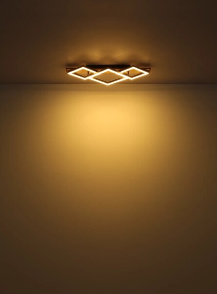 Globo 67330G-24 - LED Stropní svítidlo BEATRIX I LED/24W/230V
