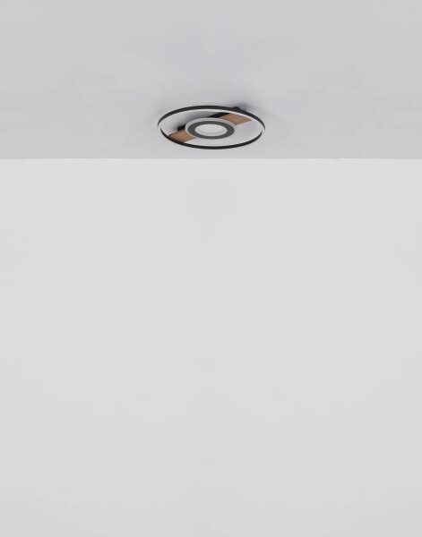 Globo 67323-24 - LED Stropní svítidlo PIKARA LED/24W/230V