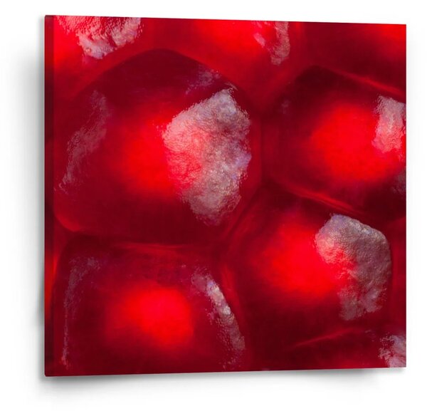 Sablio Obraz Granátové jablko - 110x110 cm