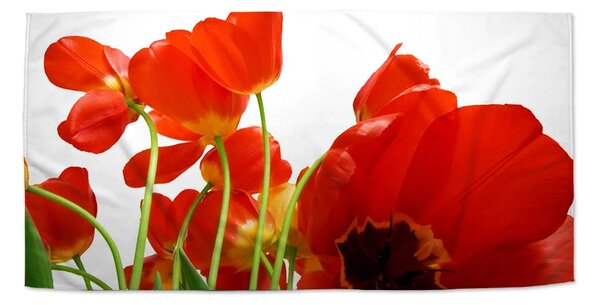 Sablio Ručník Tulipány - 30x50 cm
