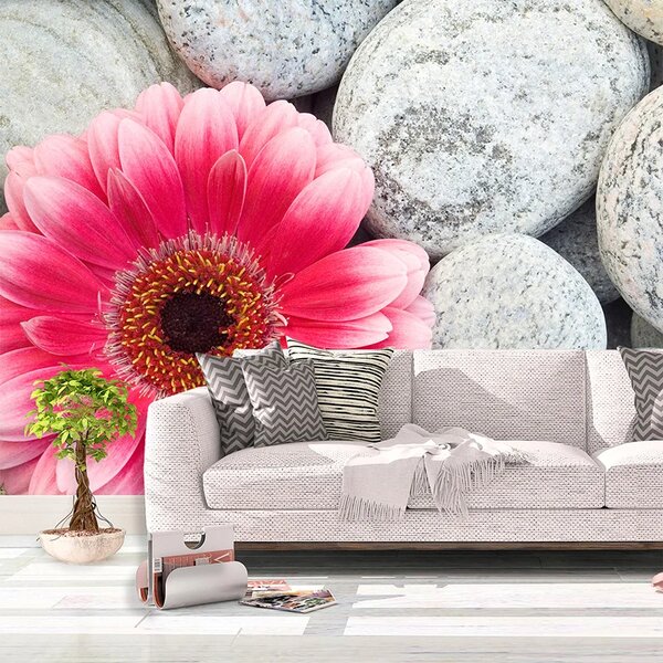 Sablio Tapeta Gerbera na kamenech - 125x75 cm