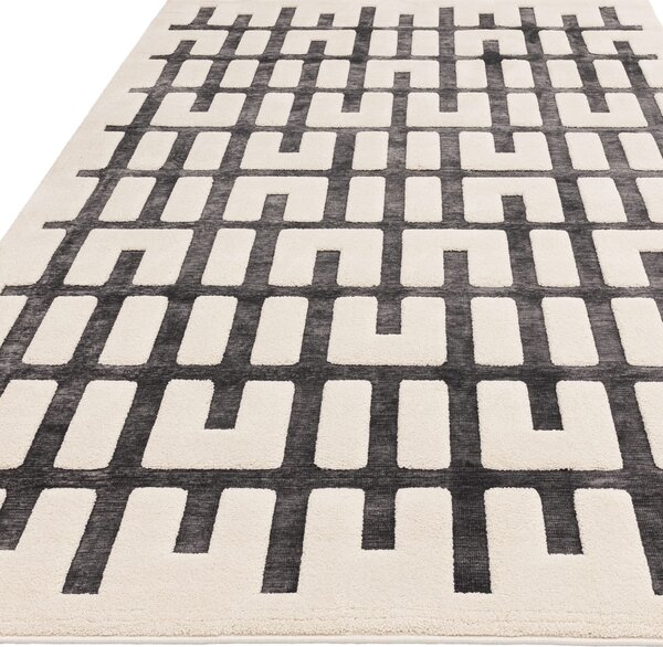 Tribeca Design Kusový koberec Baymax Charcoal Ivory Junction Rozměry: 120x170 cm
