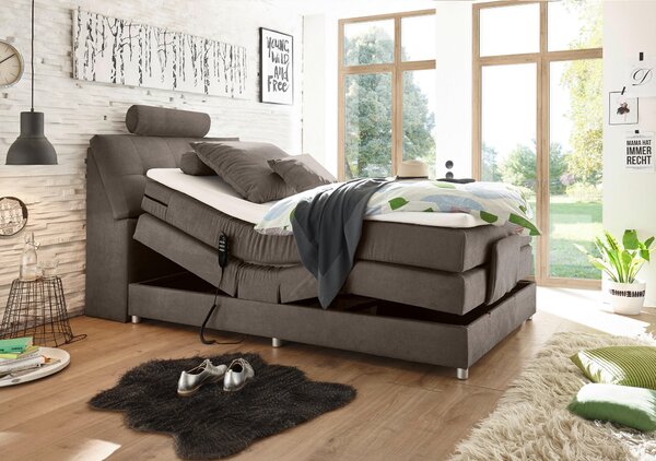POSTEL BOXSPRING, 120/200 cm, hnědá MID.YOU - Jednolůžkové postele, Online Only