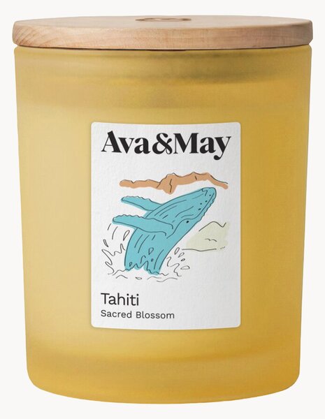 Vonná svíčka Tahiti (monoi, tahitská vanilka a ambra)