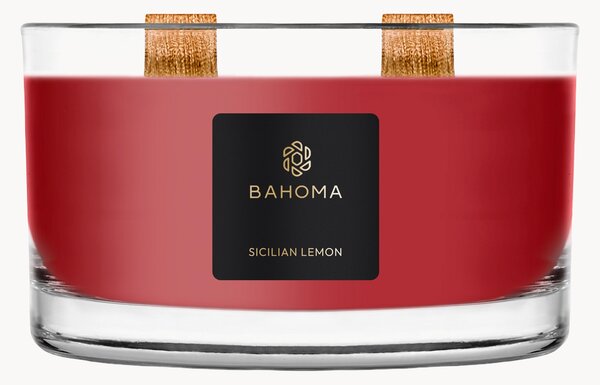 Ručně vyrobená vonná svíčka se dvěma knoty Spirit of Christmas (cassis, hřebíček a ambra)