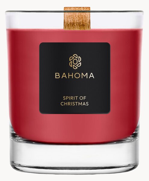 Ručně vyrobená vonná svíčka Sprit of Christmas (černý rybíz, hřebíček a ambra)