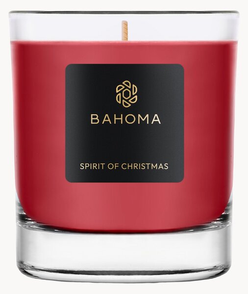 Ručně vyrobená vonná svíčka Sprit of Christmas (černý rybíz, hřebíček a ambra)