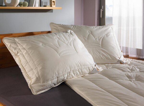 POLŠTÁŘ, 70/90 cm - Polštáře pod hlavu