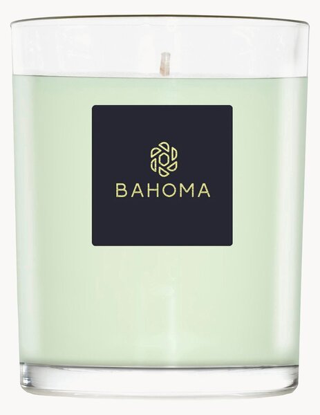 Ručně vyrobená vonná svíčka Alchemy (primule a jantarové dřevo)