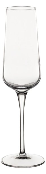 Sklenice na šampaňské Gusto 6 ks. 240ml