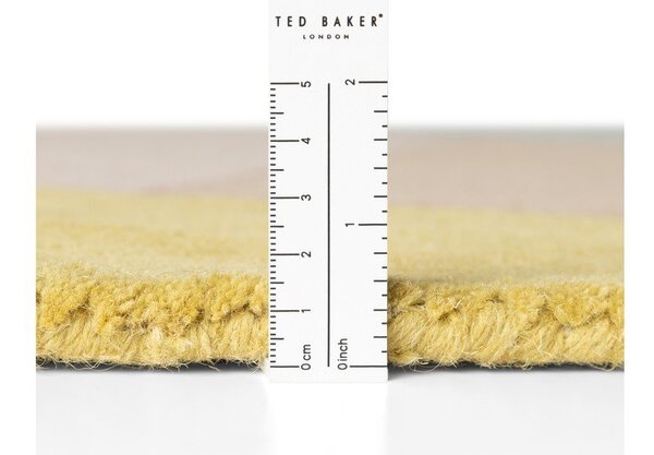 Ručně tkaný vlněný koberec 120x170 cm Westminster Piccadilly – Ted Baker