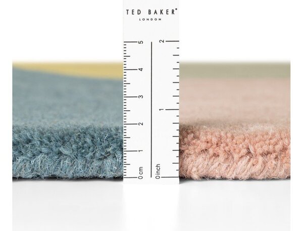 Ručně tkaný vlněný koberec 120x170 cm Westminster Cecil – Ted Baker