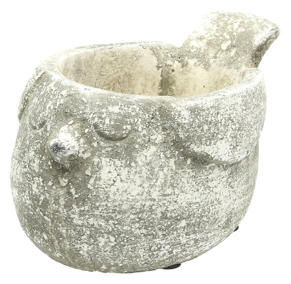 Záhon Bird
