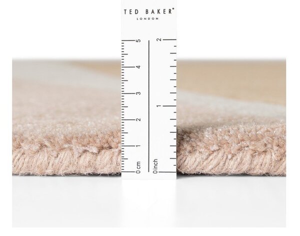Ručně tkaný vlněný koberec 120x170 cm Westminster Windmill – Ted Baker