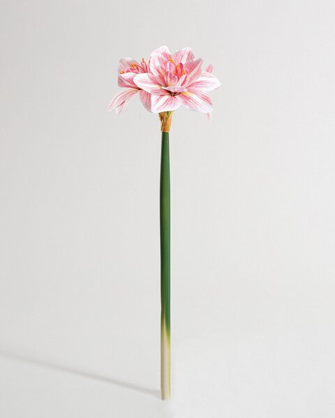 Umělá květina Amarylis 62 cm pink