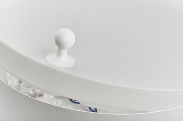 Stropní LED svítidlo ALORA, pr. 292 mm, CCT switch 3000-4000K Barva: Černá, Stmívání, řízení: bez stmívání