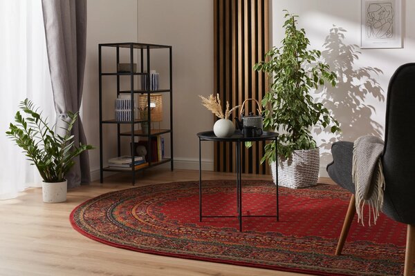 Oválný vlněný koberec Dywilan Polonia Baron Burgund 2 červený Rozměr: 170x235 cm