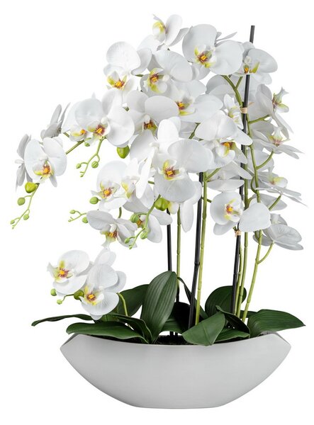 Umělá Orchidej bílá v misce, 66cm