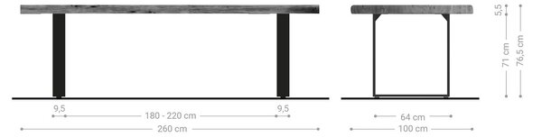 DELIFE Jídelní stůl Edge 260×100 XL akácie platinová nerezová ocel úzký Live-Edge