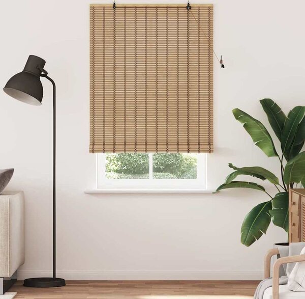VidaXL Roleta Příroda 110 x 220 cm Bambus [42006903]