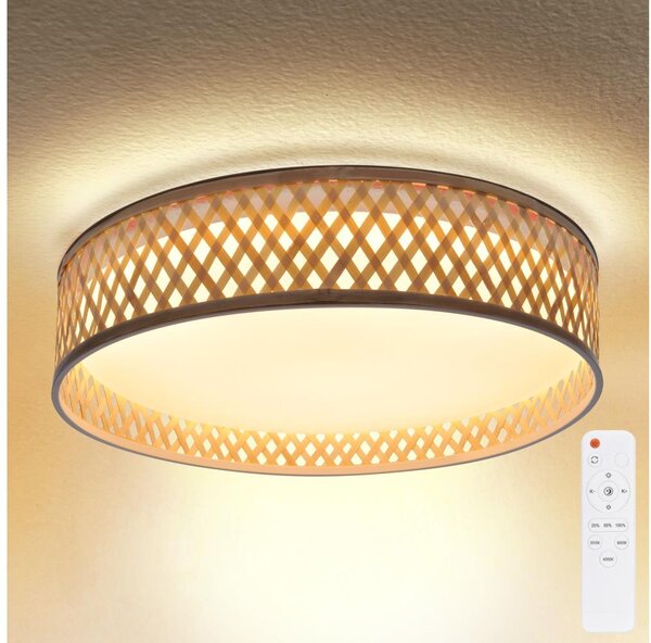 Brilagi - LED Stmívatelné stropní svítidlo CAMILA LED/48W/230V 3000-6500K + DO