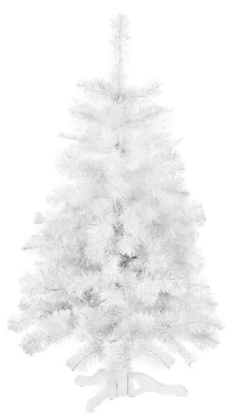 Vánoční stromek Jedle bílá 120 cm