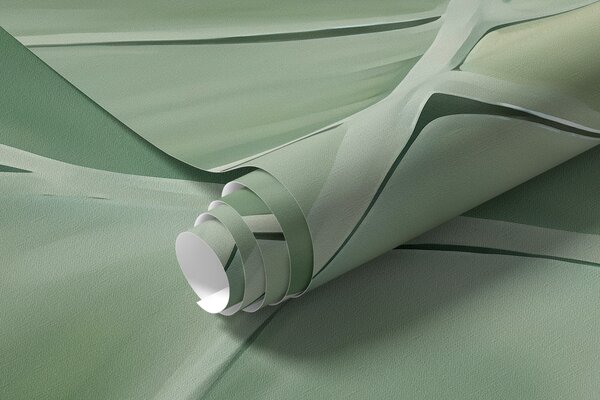 Fototapety Monstera v zelené, Fototapety s přírodními motivy, w05909 : uwalls.cz