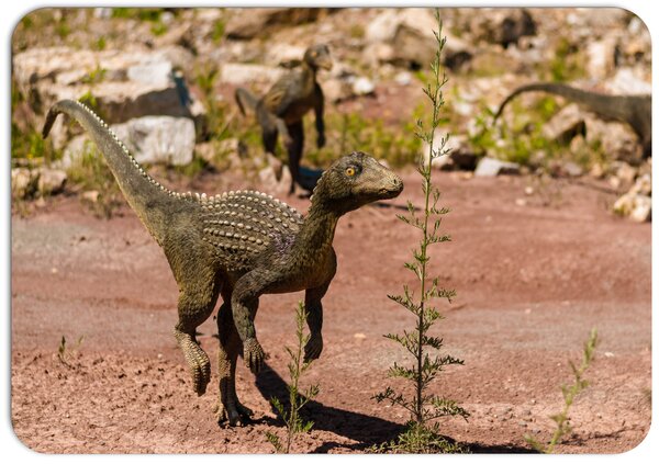 PokojovaDekorace.cz, Dětské prostírání - 043, Dinosaurus, 43x30cm