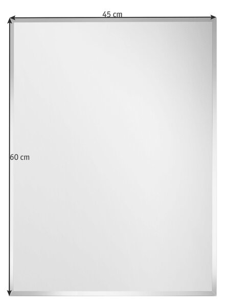 NÁSTĚNNÉ ZRCADLO 45/60/0,3 cm Carryhome