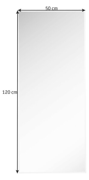 NÁSTĚNNÉ ZRCADLO 50/120/1 cm Carryhome
