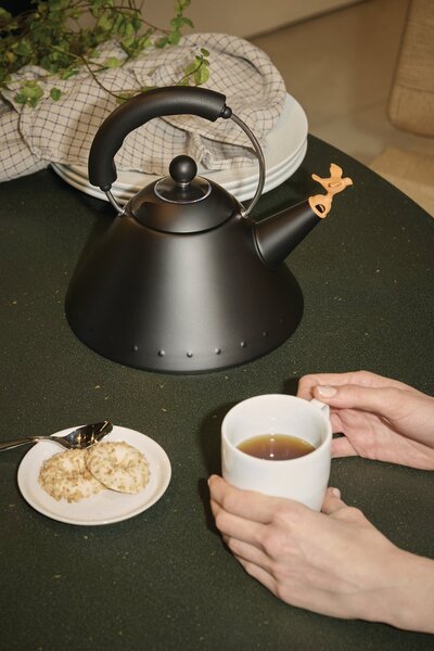 Varná konvice s píšťalkou 9093 Alessi 2 l černá matná