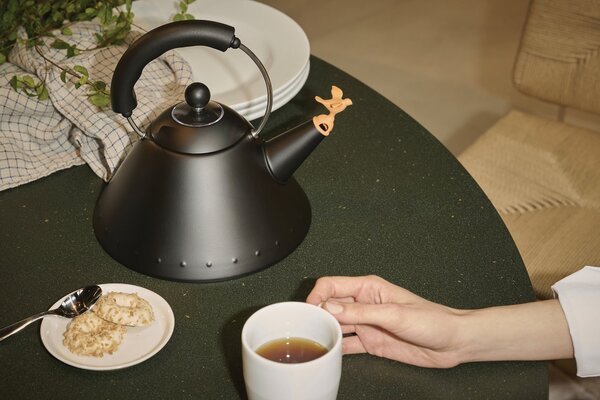 Varná konvice s píšťalkou 9093 Alessi 2 l černá matná