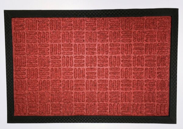 DVEŘNÍ ROHOŽKA, 40/60 cm - Rohožky