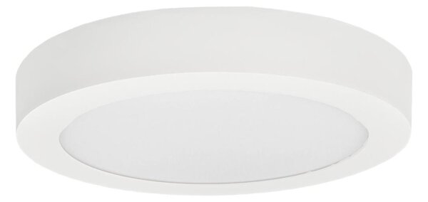 LED Stropní svítidlo FENIX LED/12W/230V 3800K pr. 17 cm sněhově bílá