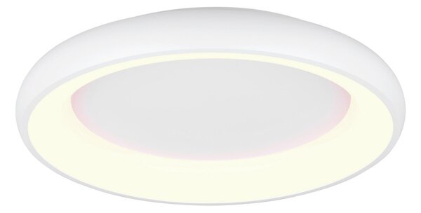 STROPNÍ LED SVÍTIDLO, 62/10 cm Trio Leuchten - Stropní svítidla