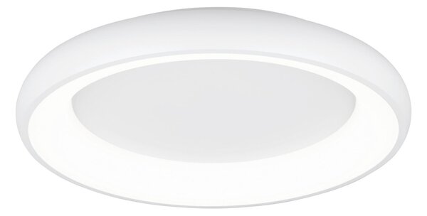 STROPNÍ LED SVÍTIDLO, 62/10 cm Trio Leuchten - Stropní svítidla